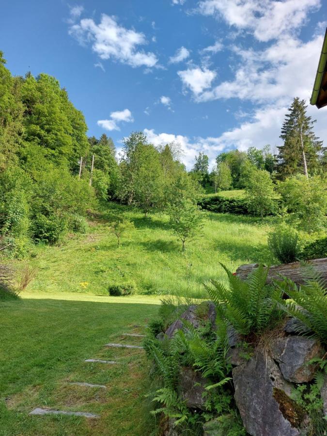 Chalet Peter Zell am See Buitenkant foto